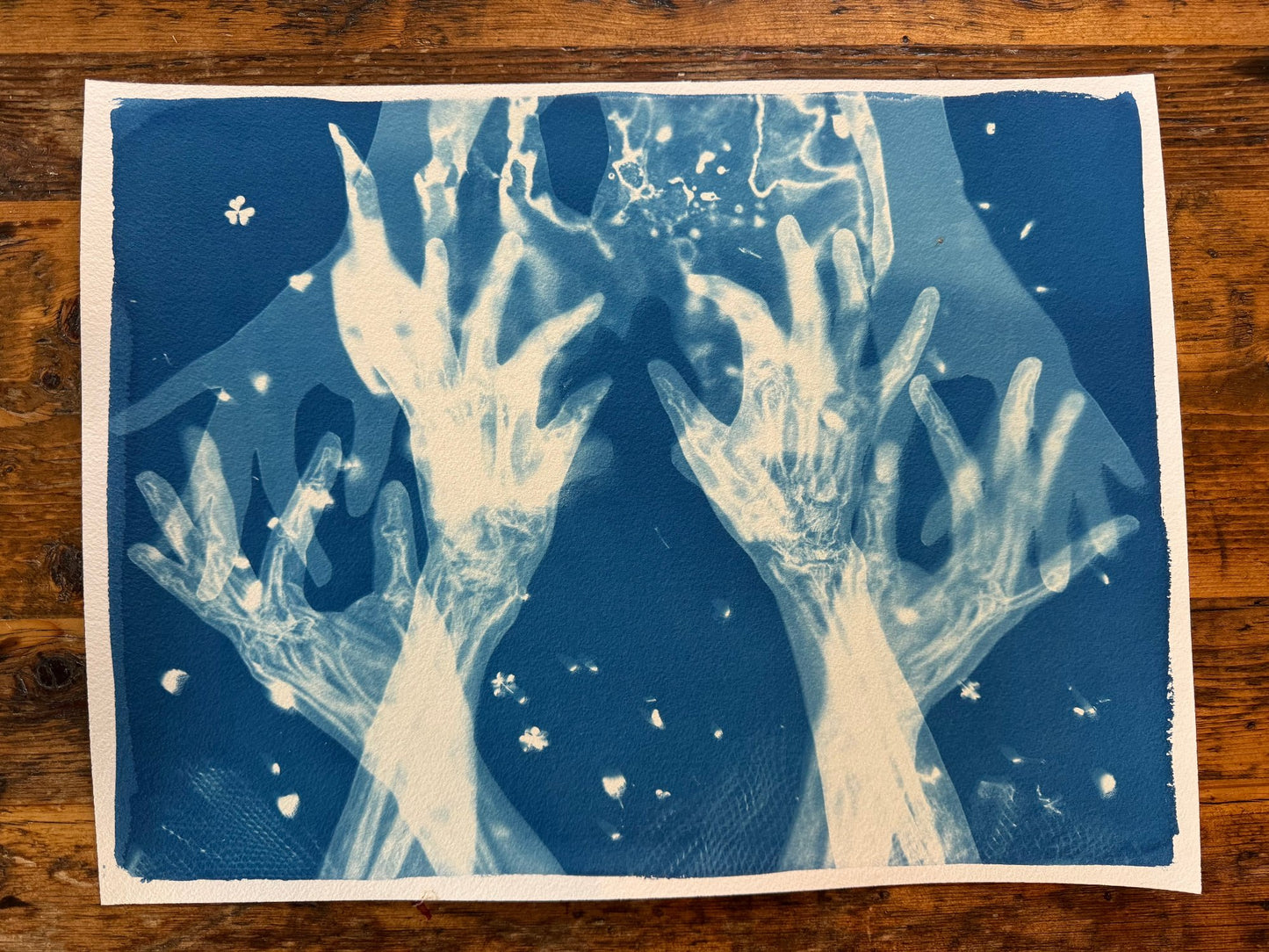 Lauryn Welch "Tendon, Sinew, Marrow, Stardust" Cyanotype on paper 1/1