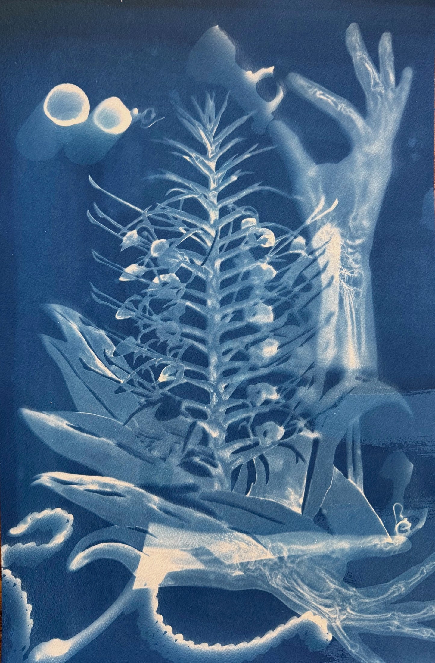 Sonja John "Happy Halloween" Cyanotype on Paper 1/1
