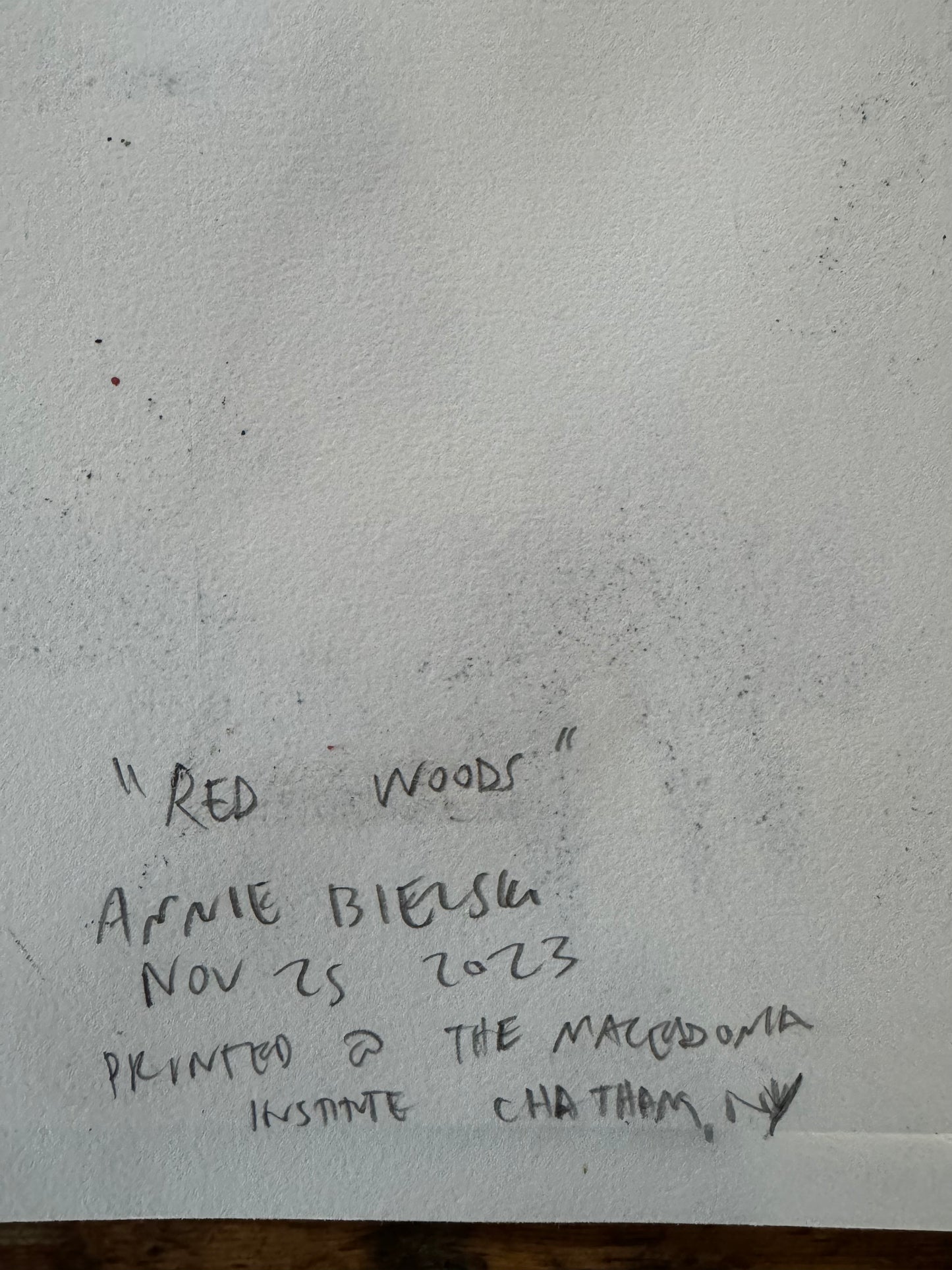 Annie Bielski "Red Woods" Monotype on paper 1/1