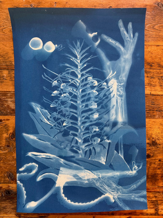 Sonja John "Happy Halloween" Cyanotype on Paper 1/1